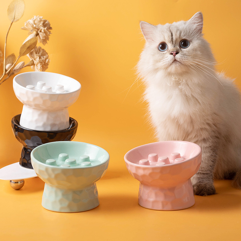 Slow Cooker Ceramic - 1개 고양이 밥그릇 세라믹 높이 조절형