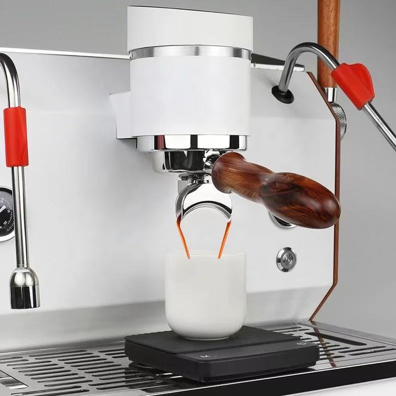 맞춤형 상업용 더블 헤드 반자동 전기 에스프레소 카푸치 - Espresso Machine Semi Auto 리뷰 및 가격