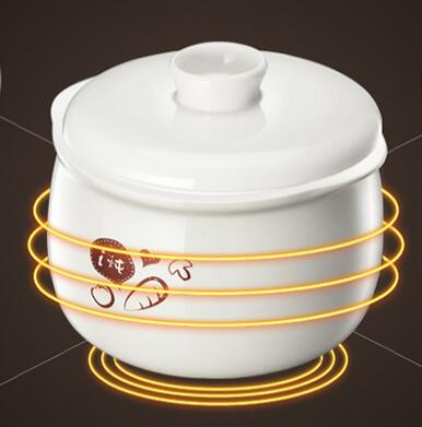 베어 하우스홀드 미니 전기 슬로우 쿠커 DDZ-A08D - Slow Cooker Ceramic 리뷰 및 가격