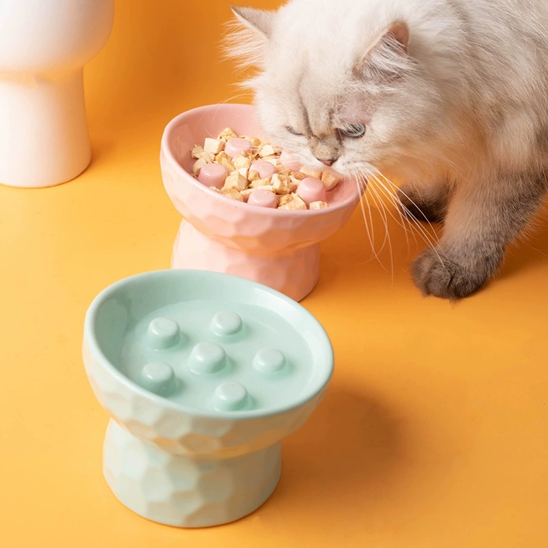 1개 고양이 밥그릇 세라믹 높이 조절형 슬로우 푸드 밥 - Slow Cooker Ceramic 리뷰 및 가격