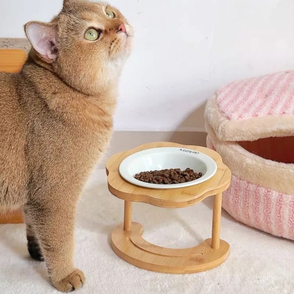 애완동물 용품 세라믹 고양이 그릇 나무 귀여운 강아지  - Slow Cooker Ceramic 리뷰 및 가격